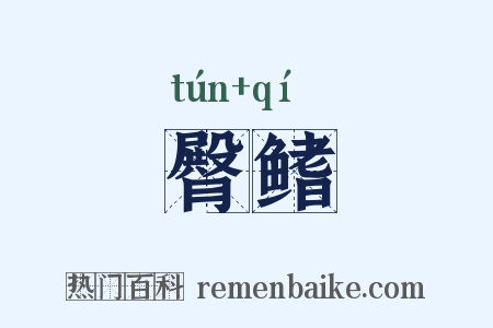 臀鳍是什么意思的图片
